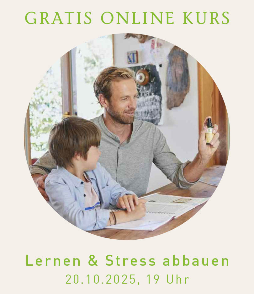 Gratis Online Kurs Lernen und Stress abbauen