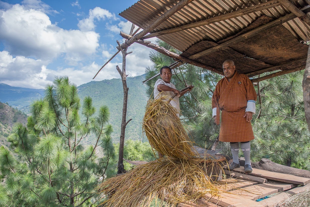 30 Jahre Bio-Inspiration