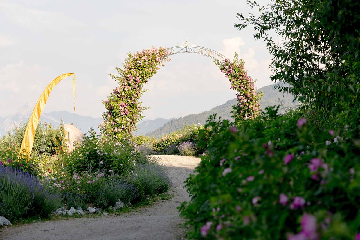 Lavendel, Rosmarin & Co. – Kraftquellen im Alltag 