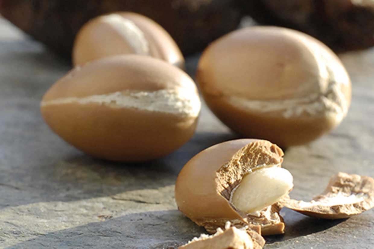 Arganöle im Vergleich