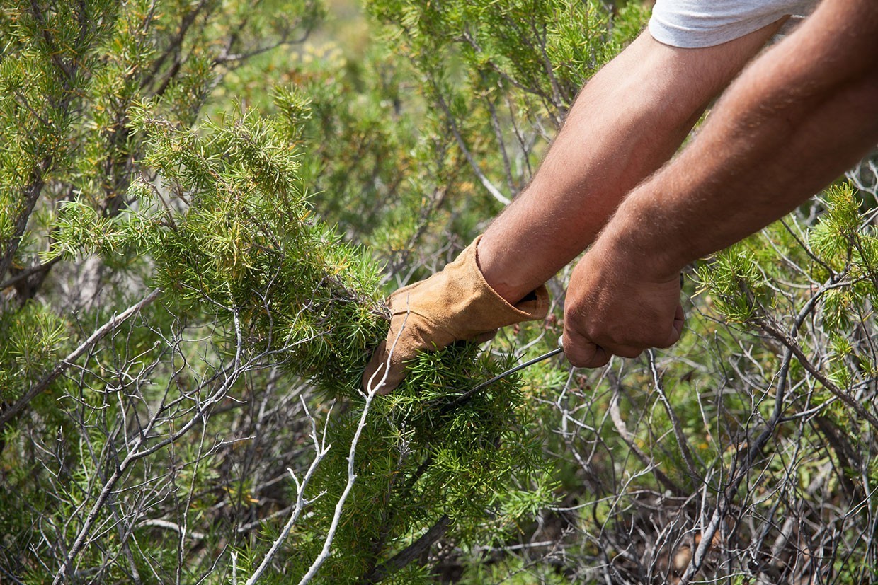 Ethisches Handeln ist der Kern der Marke