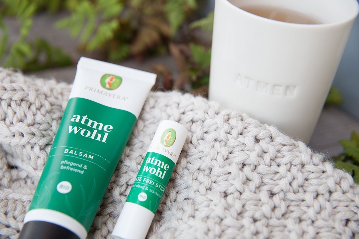 Eukalyptus: stark gegen die Erkältung