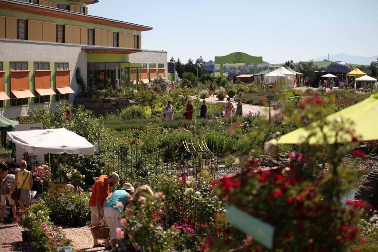 Rosenfest verzaubert Naturparadies