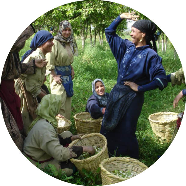 Ökologische Gleichgewicht