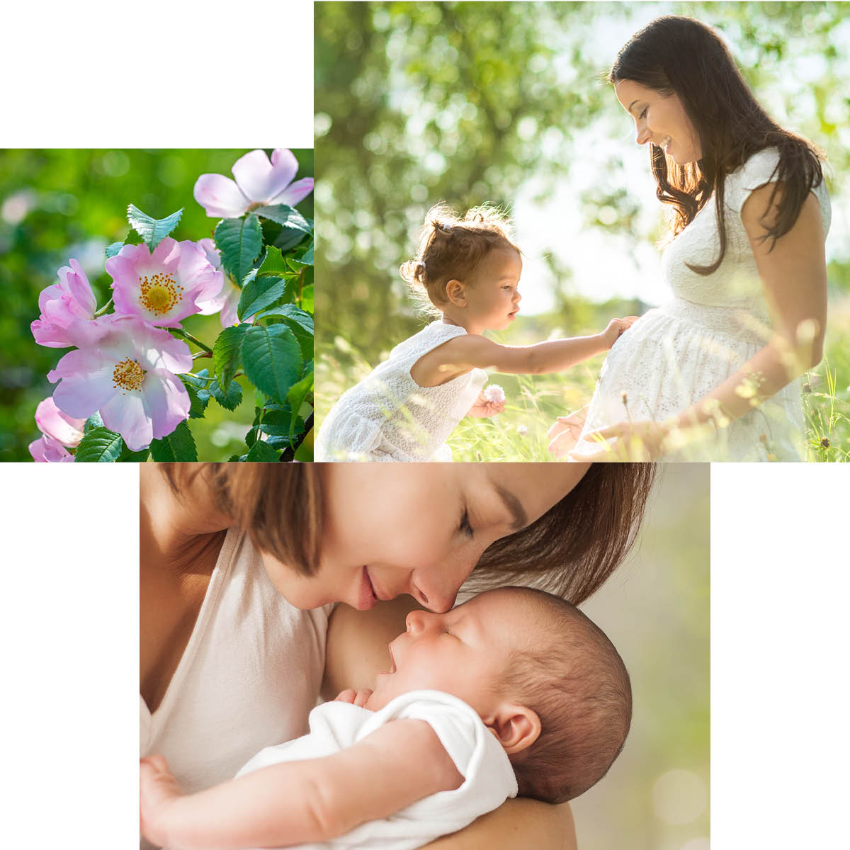 Aromatherapie Schwangerschaft und Baby