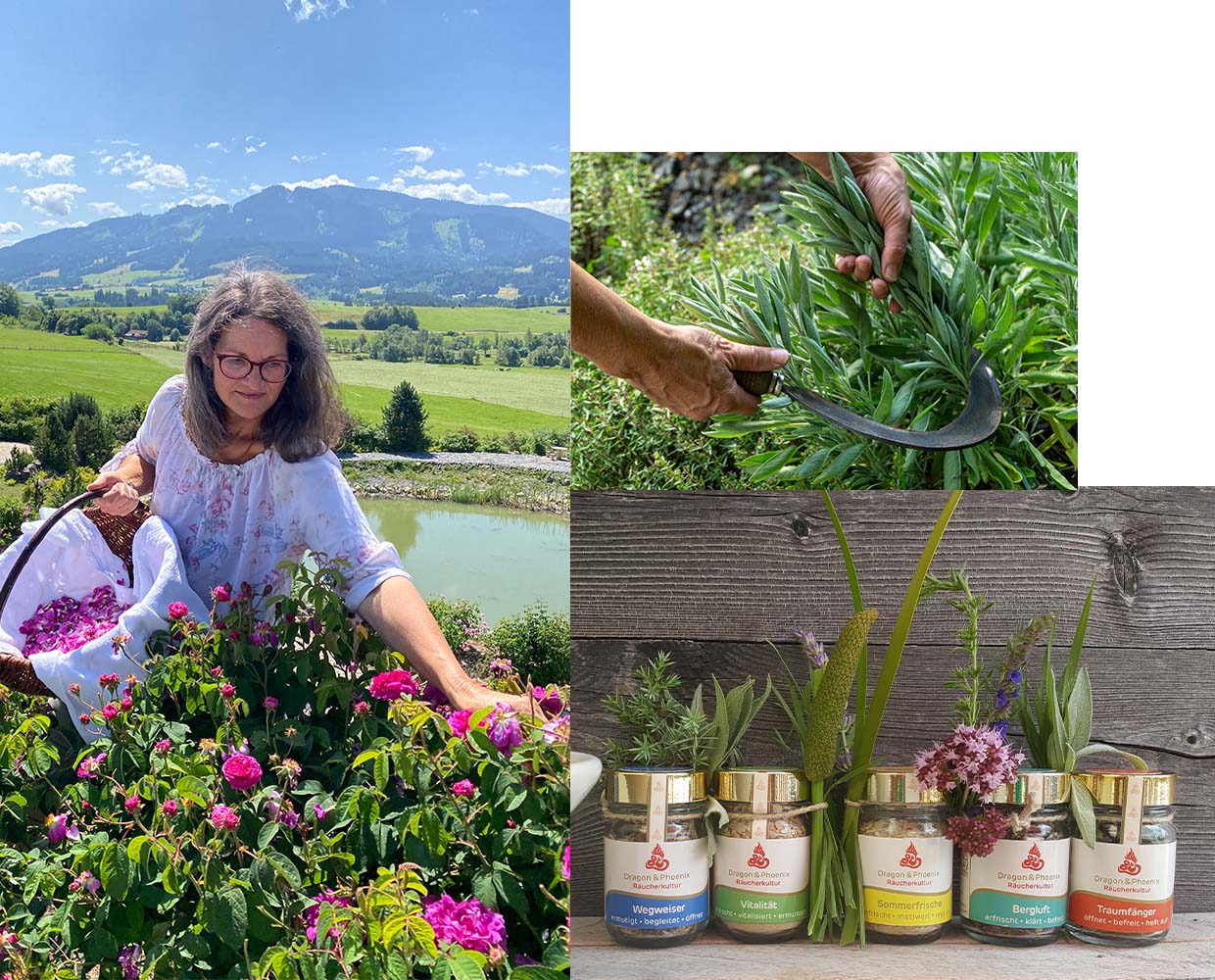 PRIMAVERA Räucherkultur