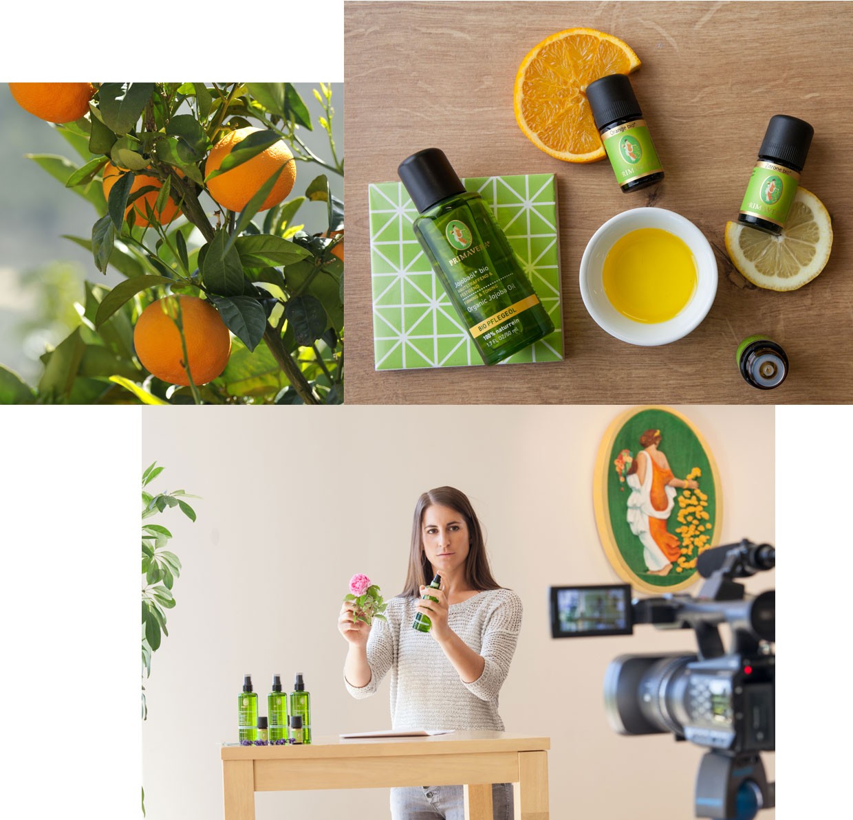 Aromatherapie Online Basiskurs