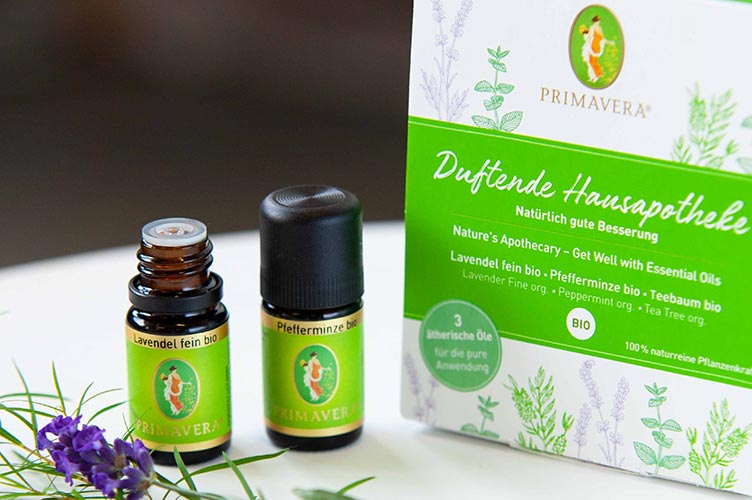 Webkurs Haus- und Reiseapotheke