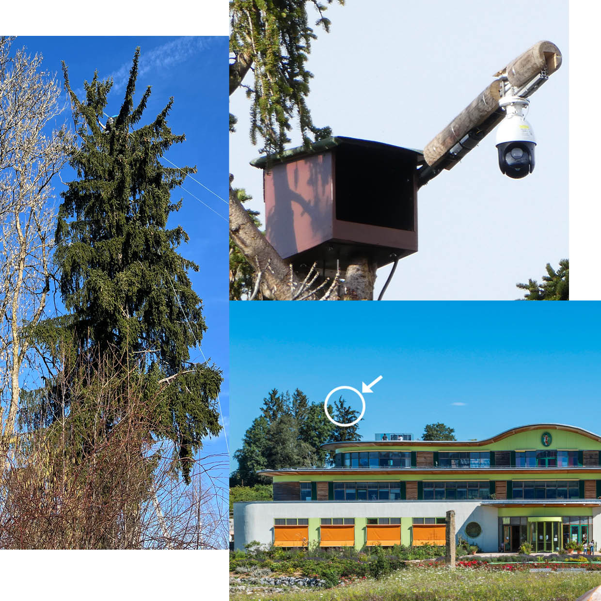 PRIMAVERA Naturparadies Live Cam