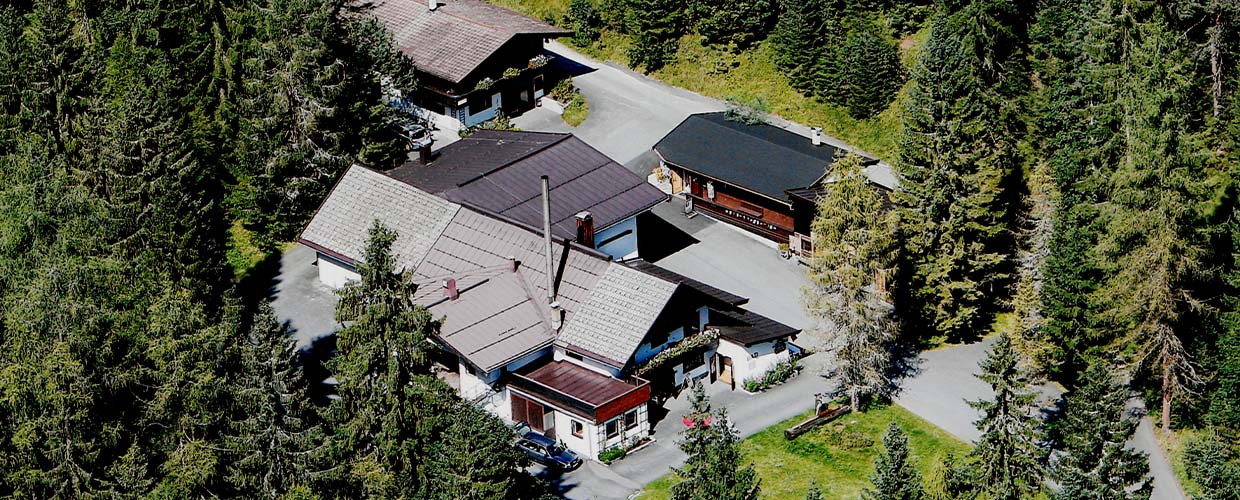 PRIMAVERA Österreich St. Ulrich Pillersee Naturparadies