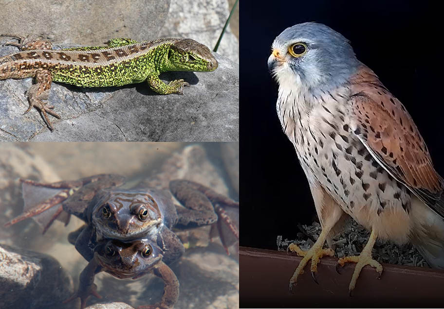 Biodiversität im Naturparadies