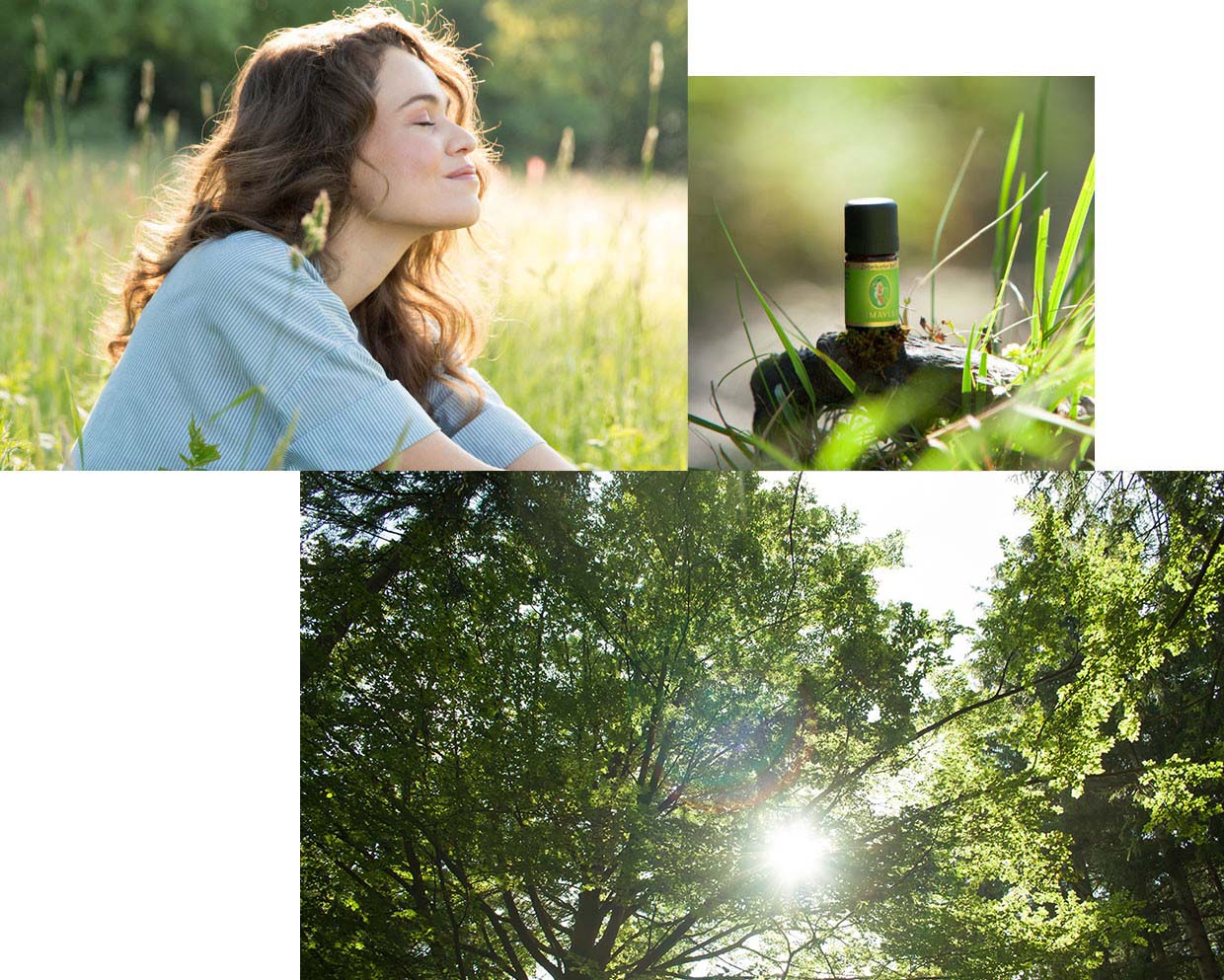 Aromapflege – Duft und Berührung wirksam erleben