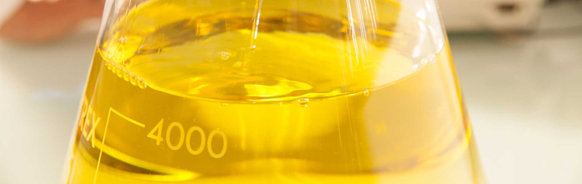 Allgemeine Geschäftsbedingungen