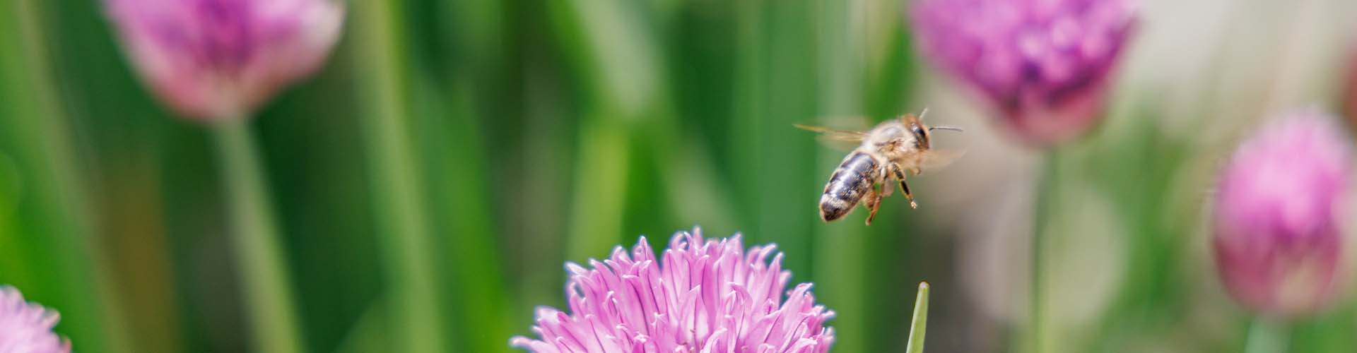 Erklärung zur Barrierefreiheit