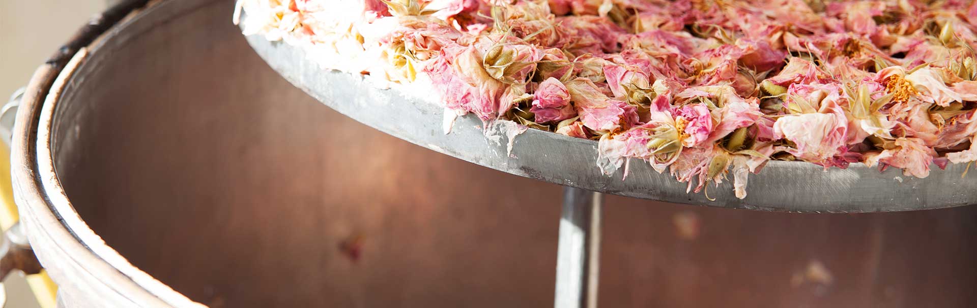 PRIMAVERA Herstellung