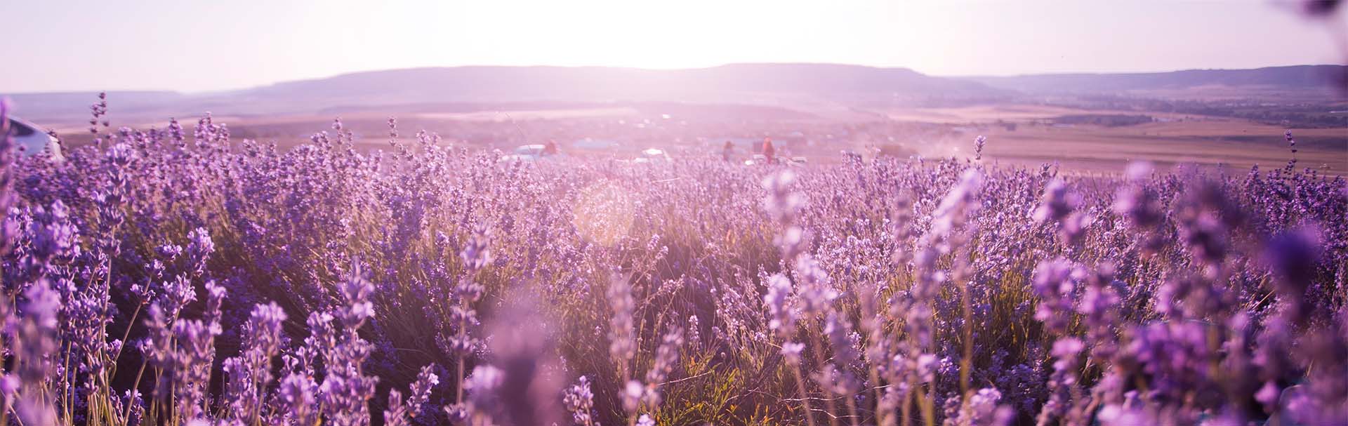 Nachhaltiges Handeln