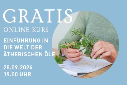 PRIMAVERA Gratis Online Kurs