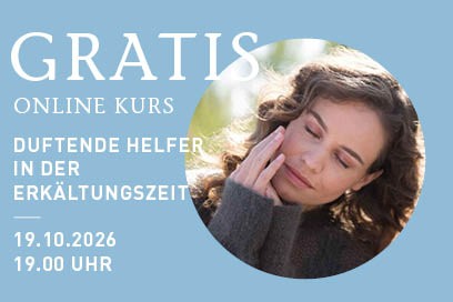PRIMAVERA Gratis Online Kurs
