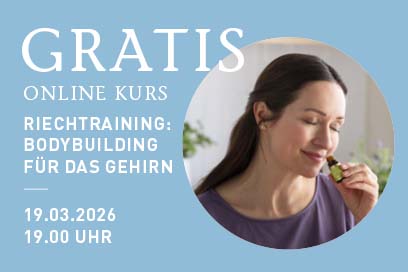 Gratis Online Kurs PRIMAVERA Akademie