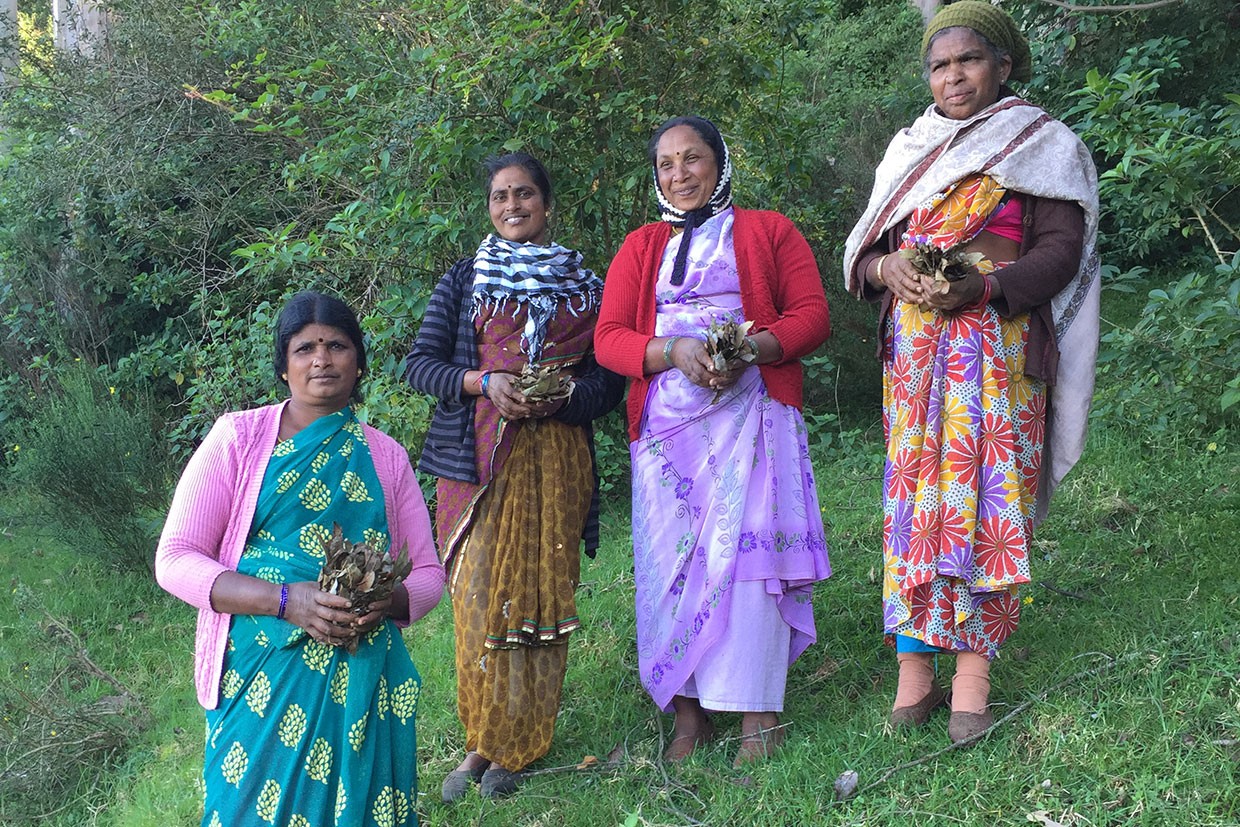 Eukalyptus – Neues Bio-Anbauprojekt Indien; Frauengruppe