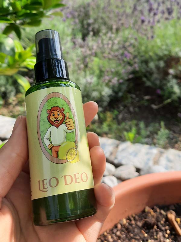 Kooperation Gmynasium Füssen Leo Deo 2025