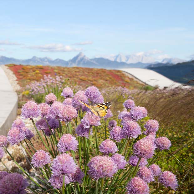 Innovation Summit 2023