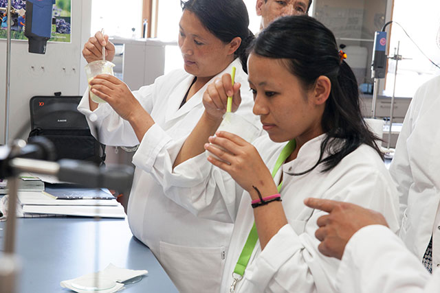 Know-How-Transfer mit Anbaupartner bei PRIMAVERA