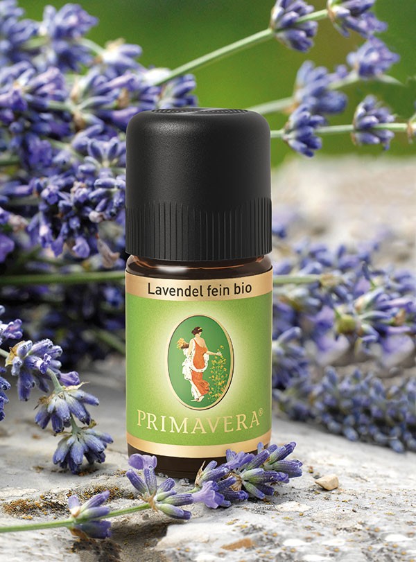 Lavendel fein bio