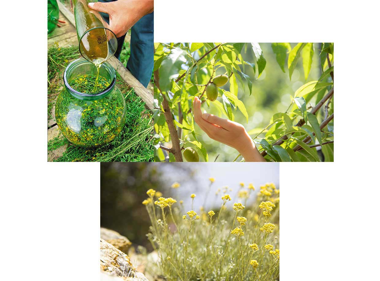 Keine Kompromisse bei Qualität